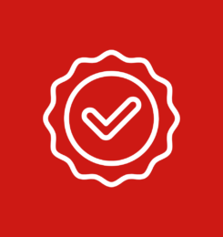 Testing & Quality Assurance