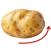 Automated Size Grading